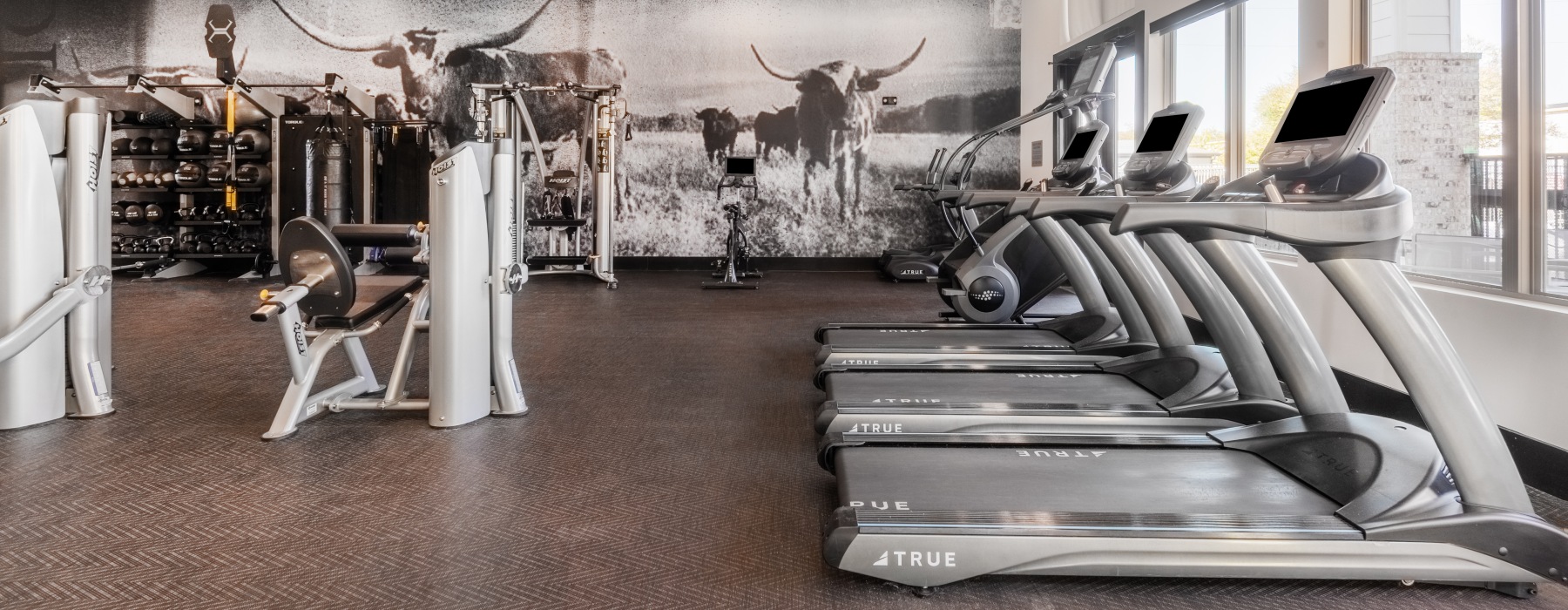Upscale Amenities Designed for an Elevated Everyday